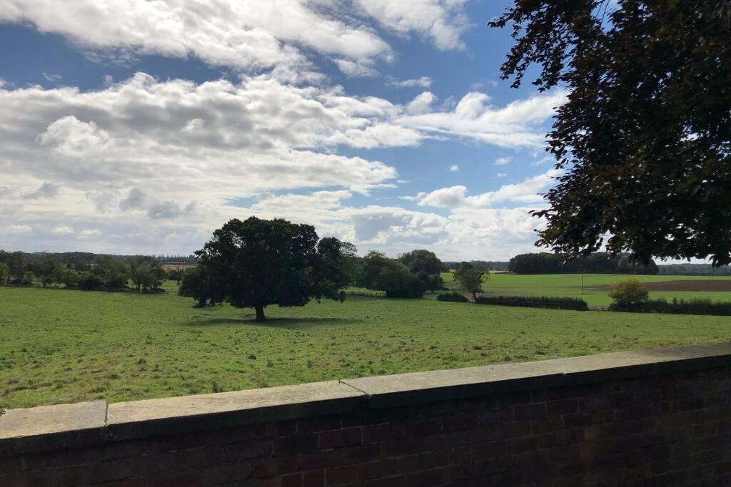 Hall Cottage, Wighill Near York And Leeds تادكاستر المظهر الخارجي الصورة